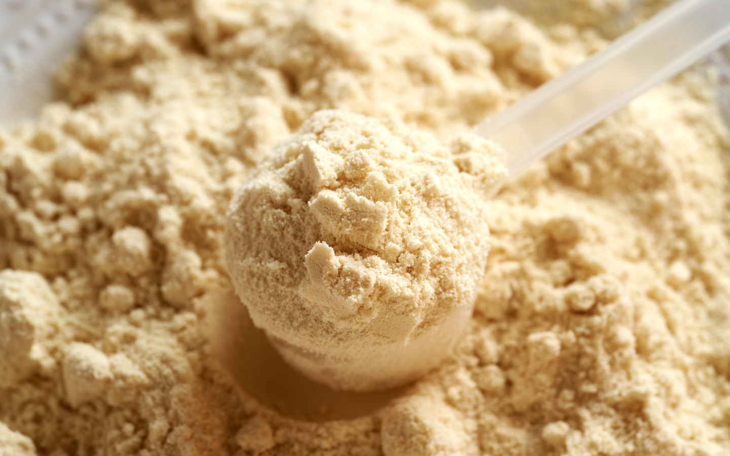 Scoop of whey protein powder